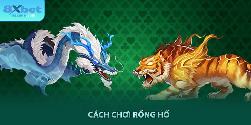 Cách Chơi Rồng Hổ: Kinh nghiệm thắng lớn nhà cái